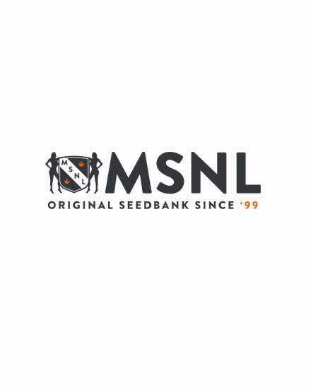 Northern Cannabis - Buy From MSNL