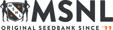 MSNL (marijuana-seeds.nl) logo