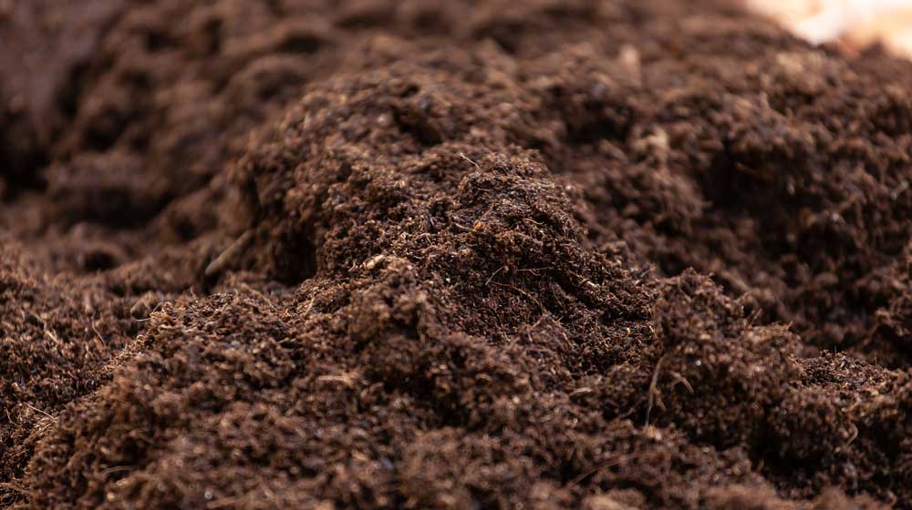 grow medium peat based mixes
