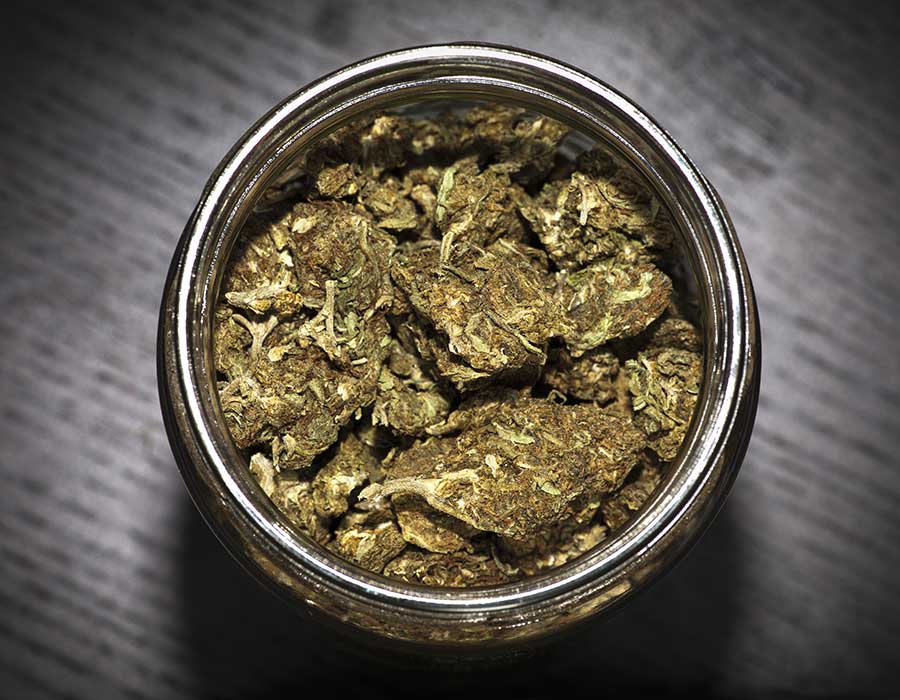 Curing cannabis a jar