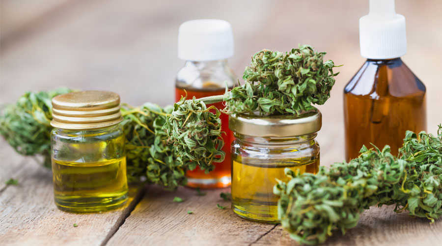 What's the difference between CBD Oil and Rick Simpson Oil