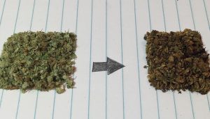 how-to-decarboxylate-cannabis-and-why-its-important