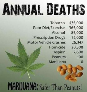 weed-vs-alcohol-annual-deaths