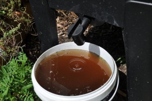 compost-tea_result