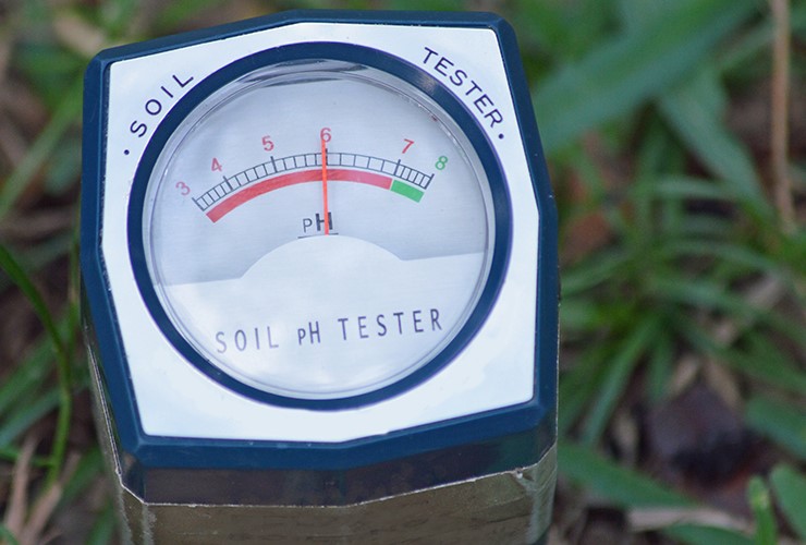 marijuana ph in soil