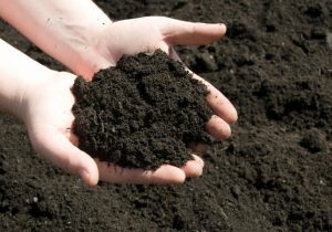 soil-preparation