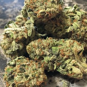 best-sativa-strains-super-silver-haze-marijuana-seeds