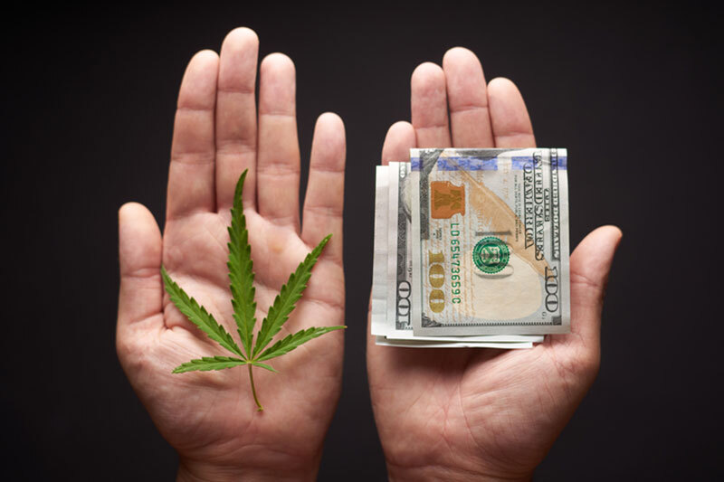 Two Hands Cannabis and Money
