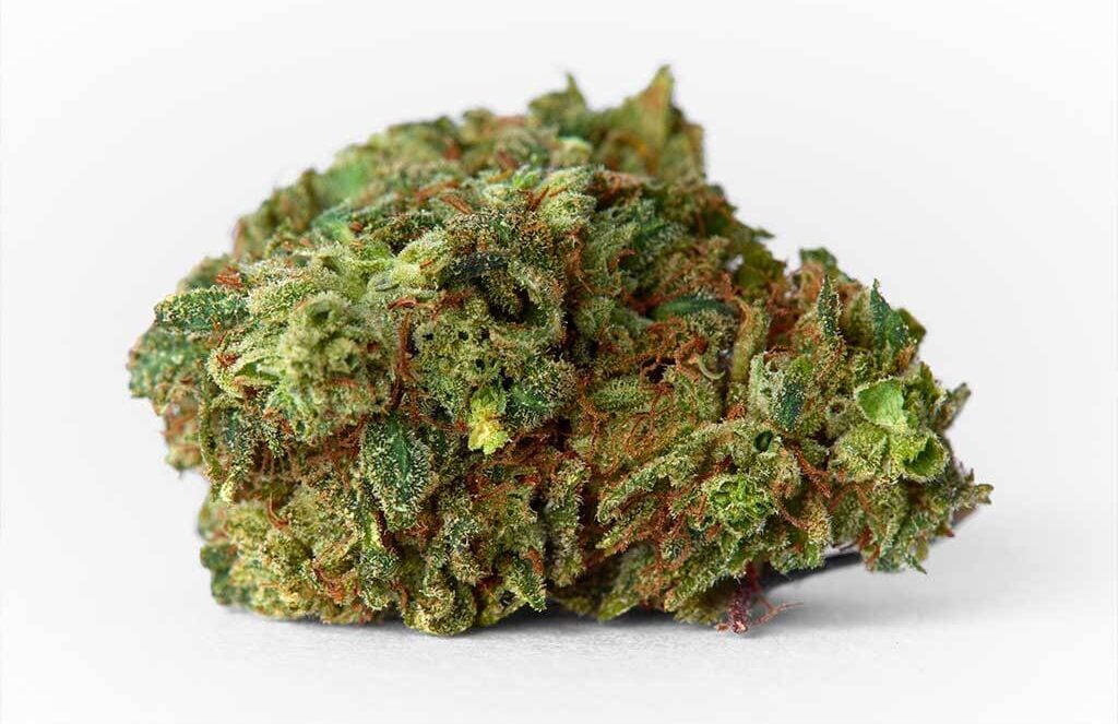 Close up of marijuana OG kush strain bud