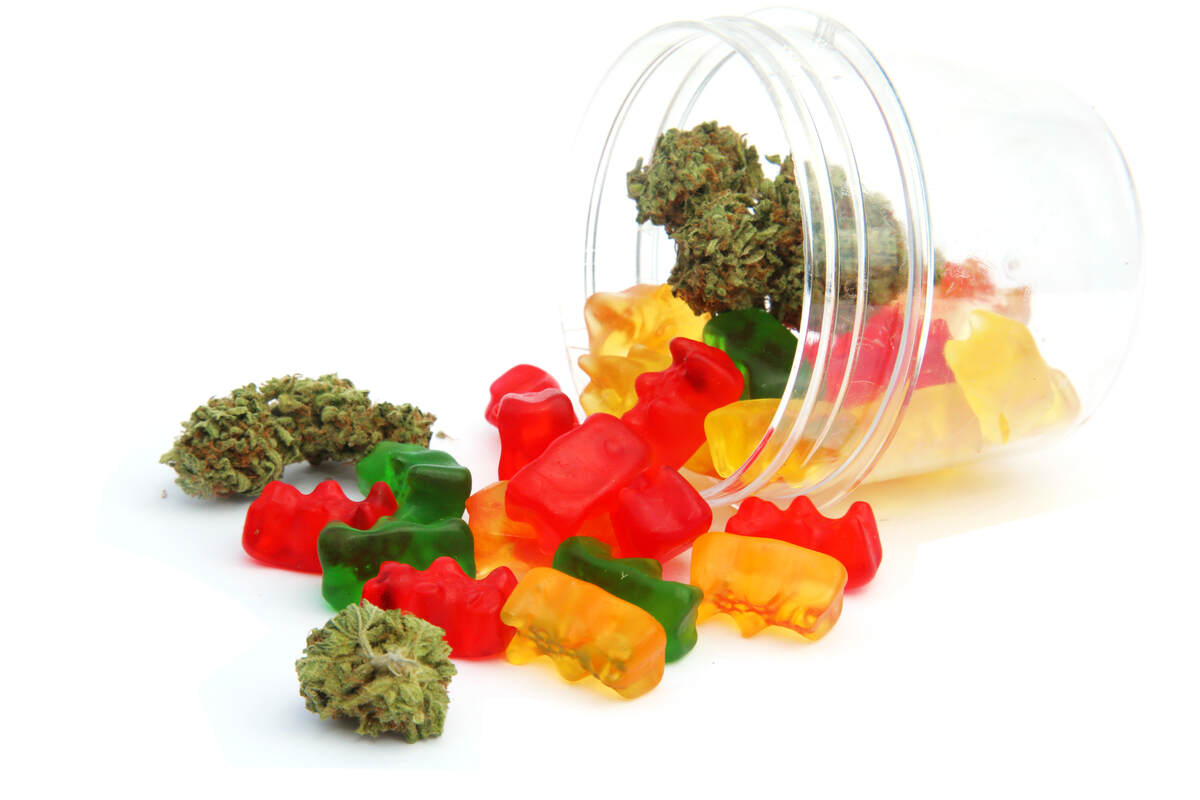 Cannabis gummy bear edibles falling out of a jar with Cannabis buds.