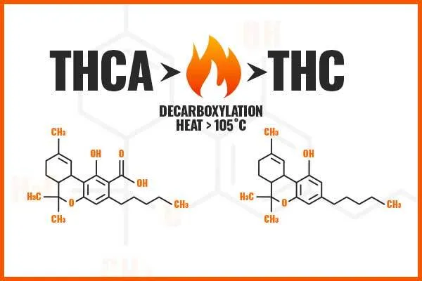 THCa Converting to THC